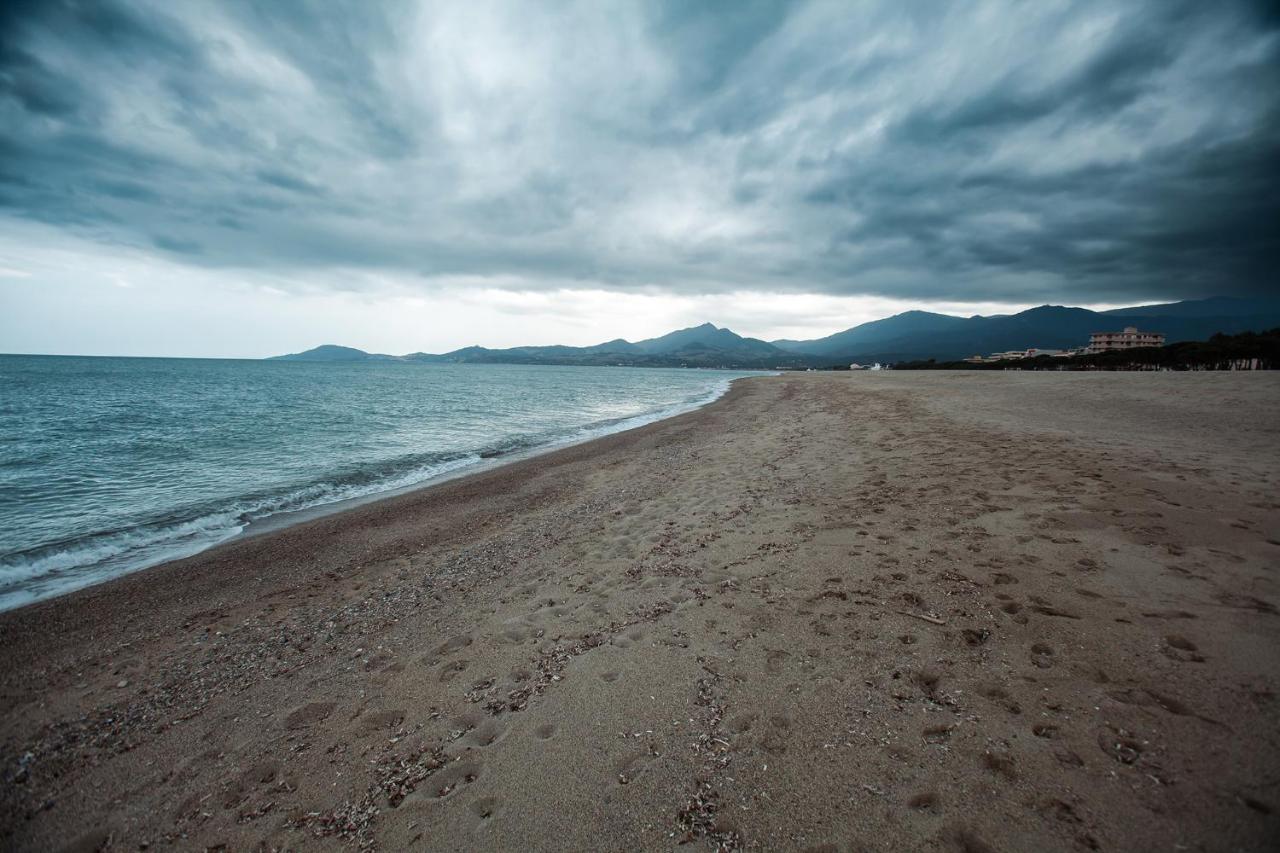 Appartement T2 Les Pieds Dans L'Eau A Argelès-sur-Mer Kültér fotó