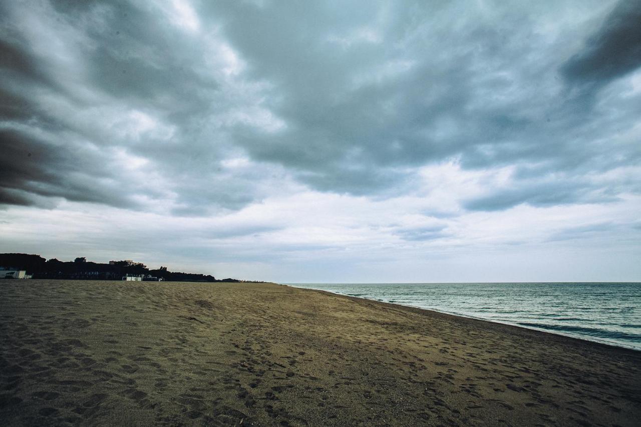 Appartement T2 Les Pieds Dans L'Eau A Argelès-sur-Mer Kültér fotó
